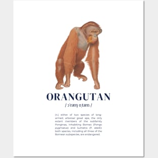 Orangutan - Animal Dictionary Definition Posters and Art